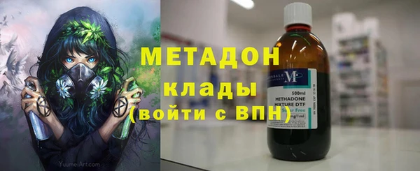 прущие грибы Балабаново