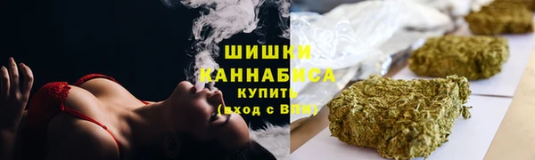 прущие грибы Балабаново