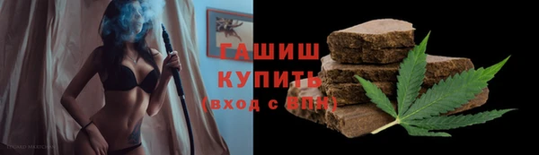 прущие грибы Балабаново